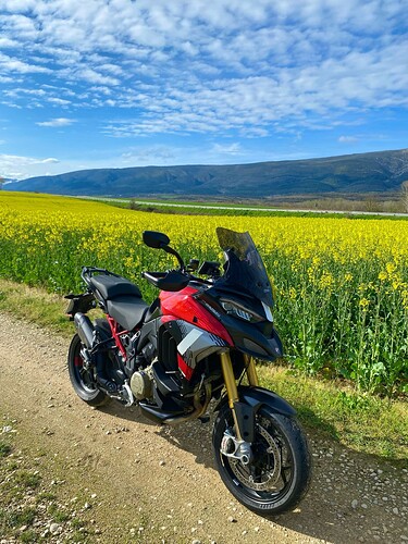 ducati PP entre flores