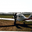airzar