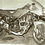 CarlesMultistrada