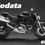 nodata